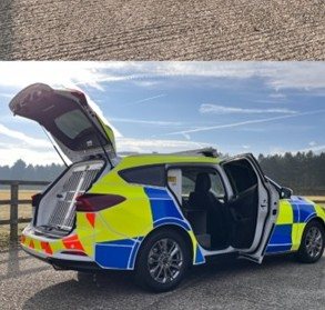 Ford Focus dog unit side profile